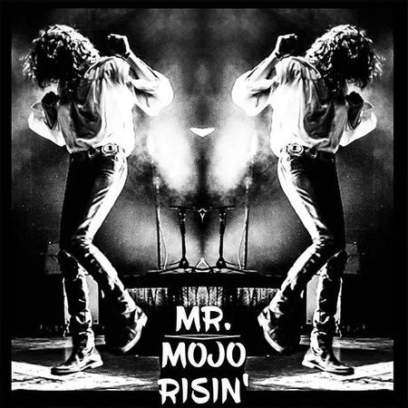 Mr. Mojo Risin' - The Doors Experience