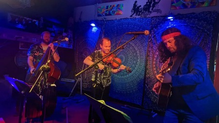 Shakedown Strings playing the Grateful Dead